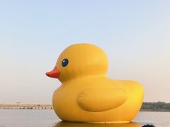-深圳人才公园