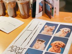 -Seesaw Coffee(朝阳大悦城店)