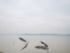 -深圳湾公园(南山区)