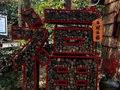 -天目湖山水园