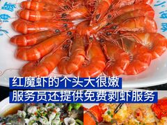 -亚龙湾热带天堂森林公园