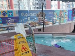 -帕帕拉兹宠物(亚洲旗舰店)