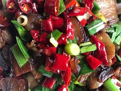 -印象鲵宴·张家界地标美食名片(溪布街店)