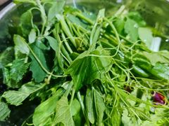 -黔府豆米火锅野菜馆(南马店)