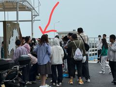 -枸杞岛