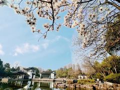 -红梅公园