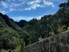 -大岭沟猕猴桃谷风景区
