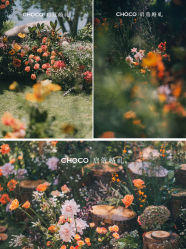 -CHOCO-启蔻婚礼(三亚公司)