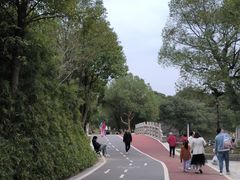 -八大山人梅湖景区