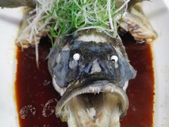 -新海渔港·胶东海鲜家常菜·家宴(奥体中心店)