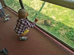 -新疆天山野生动物园