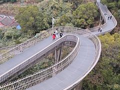 -福道