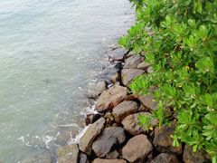 -巴拉湾海滩