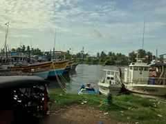 -尼甘布海鲜市场