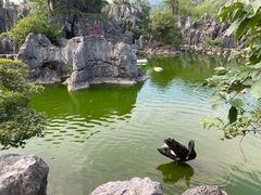 -千岛湖石林