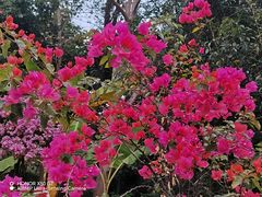 -南宁市凤岭儿童公园