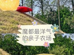 -前小桔亲子创意农场·草莓采摘·露营烧烤