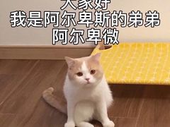 -DC动创羽毛球馆YONEX(双联馆)