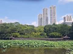 -龙头寺公园