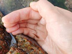 -青岛第三海水浴场