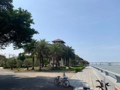 -大湾区中央湿地公园