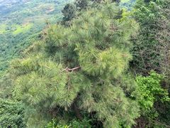 -敬亭山风景名胜区