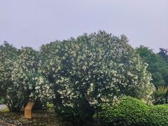 -西安浐灞国家湿地公园