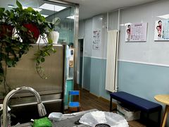 -中农大我爱我爱24h动物医院·中医针灸·猫专科·骨科医疗中心(双井店)