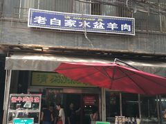 -老白家水盆羊肉