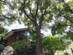 -静安公园(静安寺街道)