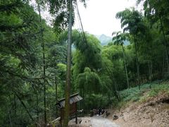 -藏龙百瀑风景区