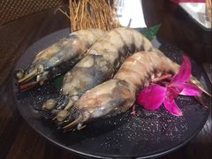-俺的焼肉(銀座9丁目店)
