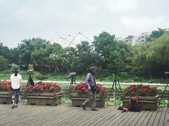 -新江湾城公园
