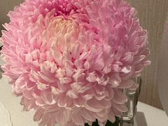 -炳胜私厨(万象前海店)