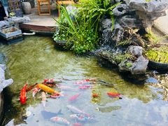 -道南書院·私房菜·早午茶·茶馆