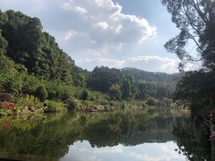 -深圳仙湖植物园