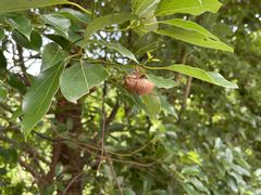 -驿舍·民國老营房院子私房菜(白市驿店)