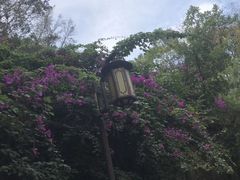 -铁路文化公园