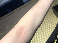 -轻武堂传统射箭·功夫茶·射击体验馆(仁和新城店)