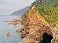 -杨梅坑