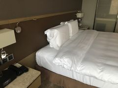 -济南绿地美利亚酒店