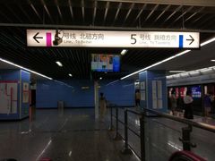 -大龙山(地铁站)