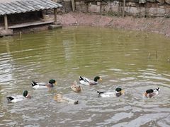 -驿舍·民國老营房院子私房菜(科学会堂店)