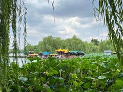 -济南大明湖景区