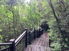 -杭州半山国家森林公园