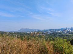 -白水寺森林公园