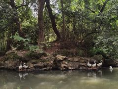 -兰亭风景区