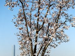 -白塘生态植物园