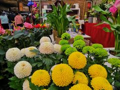 -秦美花卉(天朗·莱茵小城2期店)