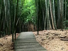 -藏龙百瀑风景区